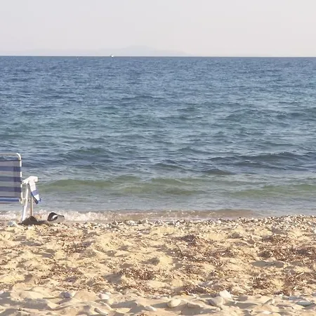 Lejlighed Kariani Beach Studio Karianí